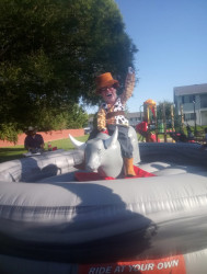 Mechanical Bull