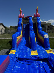 15 Pinky Flamingo IMG 4237 1715464485 15 Pinky Flamingo