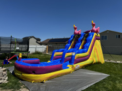 IMG 4238 1715464483 15 Pinky Flamingo