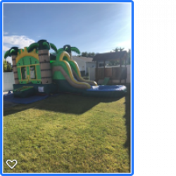 palms20combo 1620850706 Palms Combo