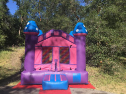 purple 1620847506 Purple X13